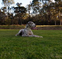 Hunter Valley Retreat - Accommodation QLD