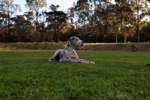 Hunter Valley Retreat - Accommodation QLD 0