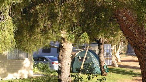 Barmera North Lake Caravan Park - Accommodation QLD 4