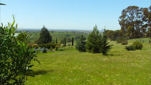 Jonathan Art Centre - Jarramarrumba House - Accommodation QLD 0