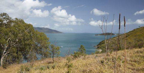 Molle Island National Park (Whitsundays National Park) Camping Ground - Accommodation QLD 1