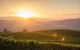 Mt Bellevue Lodge - King Valley - thumb 1