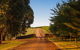 Mt Bellevue Lodge - King Valley - thumb 3