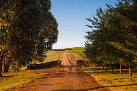 Mt Bellevue Lodge - King Valley - Accommodation QLD 3