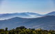 Mt Bellevue Lodge - King Valley - thumb 4