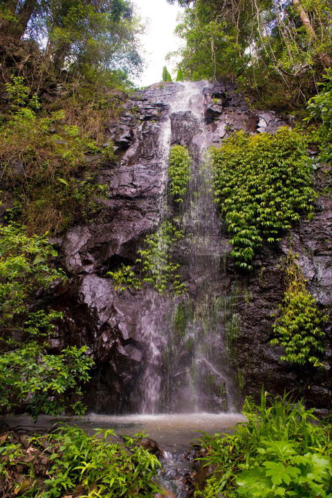 Nimbin Waterfall Retreat - Accommodation QLD 0