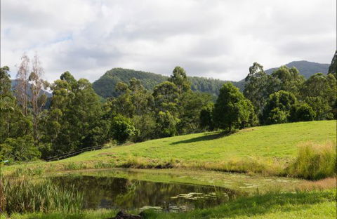 Nimbin Waterfall Retreat - Accommodation QLD 3