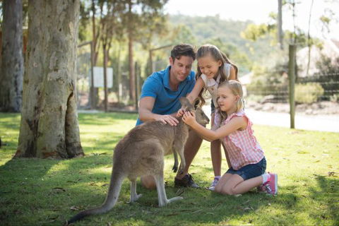 Paradise Country Farmstay - Accommodation QLD 7
