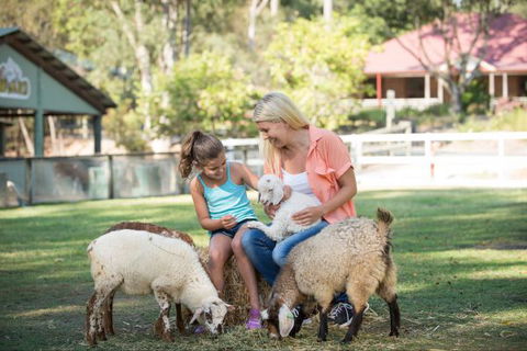 Paradise Country Farmstay - Accommodation QLD 9