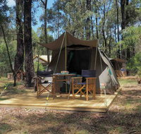Tall Trees Camping on the Great Ocean Road - Accommodation QLD