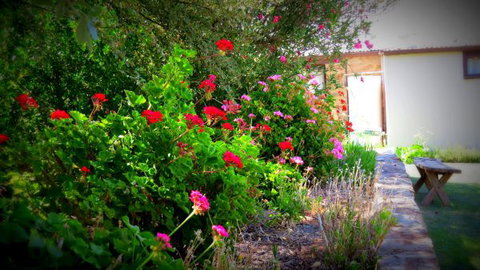 The Pig And Whistle - Accommodation QLD 4