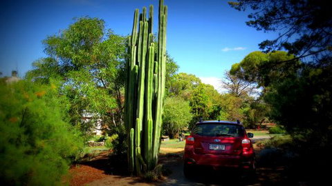 The Pig And Whistle - Accommodation QLD 6