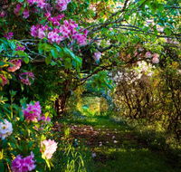 The Pear Walk - Accommodation QLD