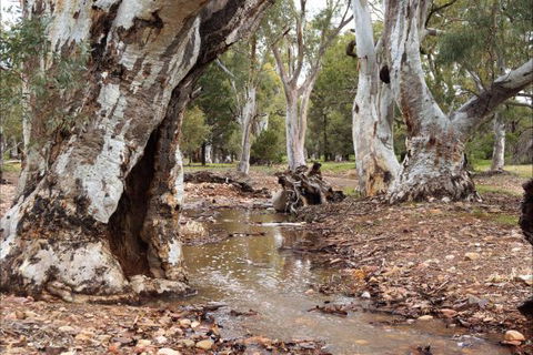 Upalinna Station - Accommodation QLD 2