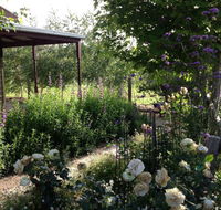 Wandana Bed and Breakfast - Accommodation QLD