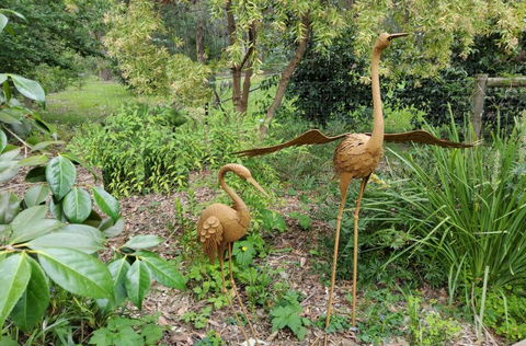 Ferny Hill Retreat - Accommodation QLD 1