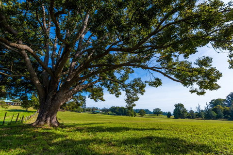 All About Me Bed And Breakfast - Accommodation QLD 8