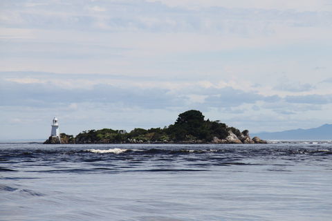 Aloft Boutique Accommodation - Accommodation QLD 7