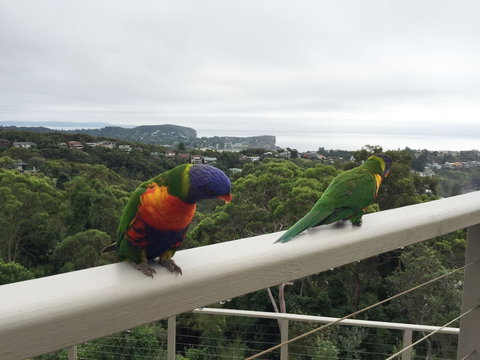 Avalon Horizons - Accommodation QLD 8