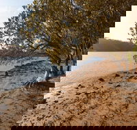 Beach campground - Accommodation QLD