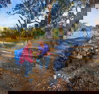 Benarca campground - Accommodation QLD