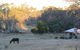 Boongarrie Luxury Tent - thumb 7