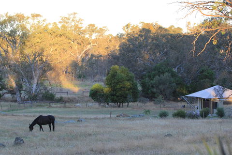 Boongarrie Luxury Tent - Accommodation QLD 7