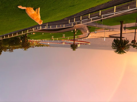 Eastern Beach Art House - Accommodation QLD 9