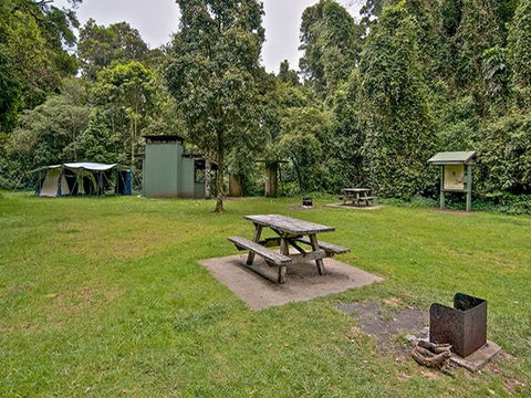 Forest Tops Campground - Accommodation QLD 0