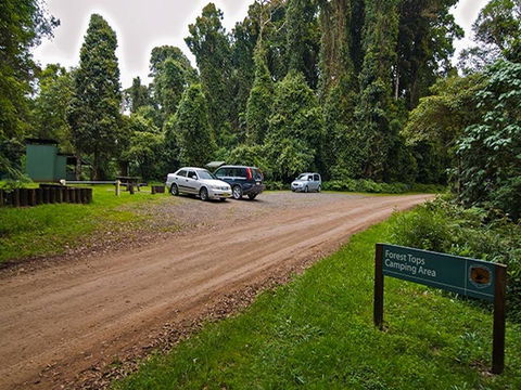 Forest Tops Campground - Accommodation QLD 1