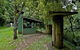 Forest Tops Campground - thumb 3