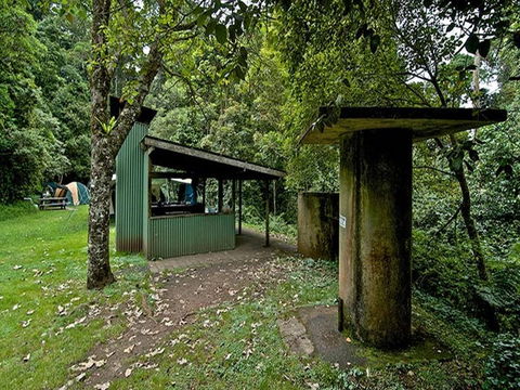 Forest Tops Campground - Accommodation QLD 3