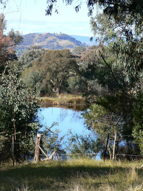 Gaddleen Grove Cottages - Accommodation QLD 6