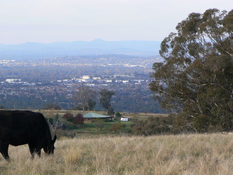 Gaddleen Grove Cottages - Accommodation QLD 8