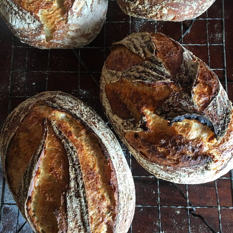 Girragirra Retreat - Accommodation QLD 5