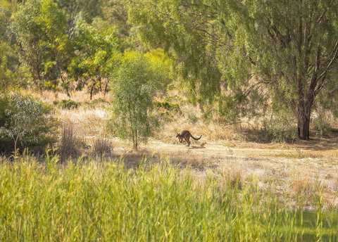 Girragirra Retreat - Accommodation QLD 7