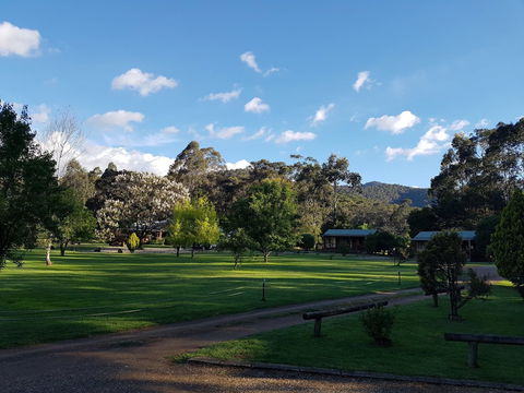Harrietville Cabins And Caravan Park - Accommodation QLD 4