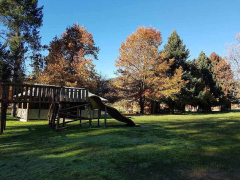Harrietville Cabins And Caravan Park - Accommodation QLD 5