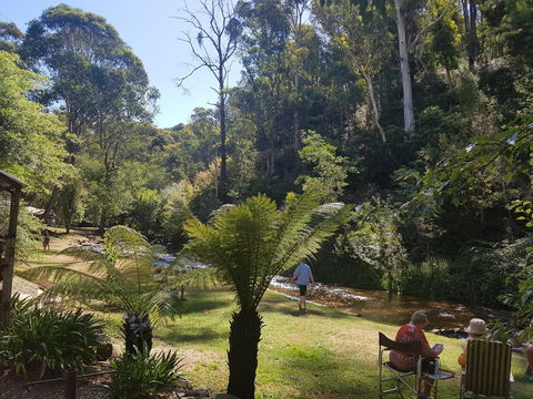 Harrietville Cabins And Caravan Park - Accommodation QLD 7