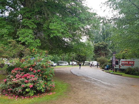 Harrietville Cabins And Caravan Park - Accommodation QLD 8