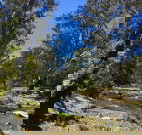 Highfield Farm and Woodland Bush Campsites - Accommodation QLD