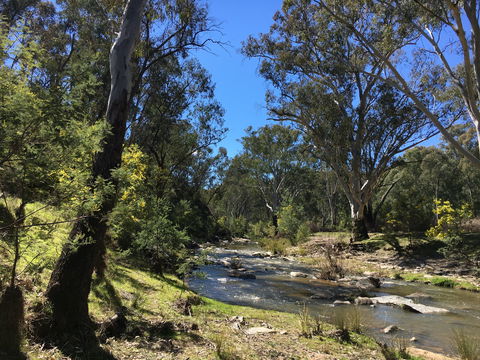 Highfield Farm And Woodland Bush Campsites - Accommodation QLD 0