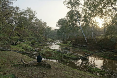 Highfield Farm And Woodland Bush Campsites - Accommodation QLD 2