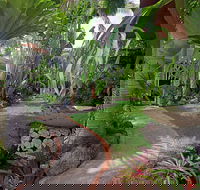 Allure - Beachfront Byron - Accommodation QLD