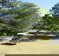Joe O'Connor Park - Accommodation QLD