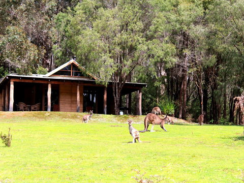 Marima Cottages - Accommodation QLD 1