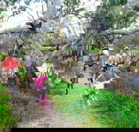 NRMA Echuca Holiday Park - Accommodation QLD
