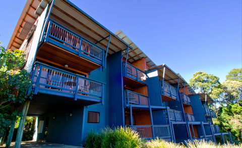 O'Reilly's Rainforest Retreat - Accommodation QLD 7