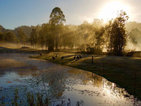 Ramada Resort Kooralbyn Valley - Accommodation QLD 6