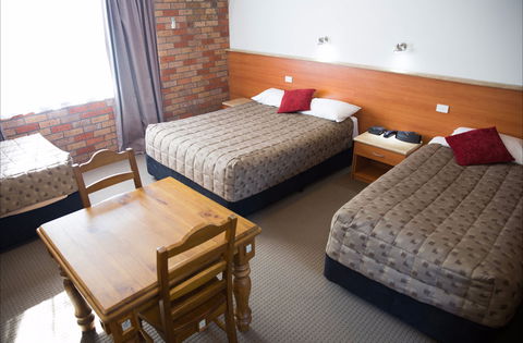 Scone Motor Inn And Apartments - Accommodation QLD 3
